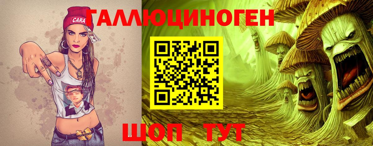 Галлюциногенные грибы Psilocybine cubensis Коряжма