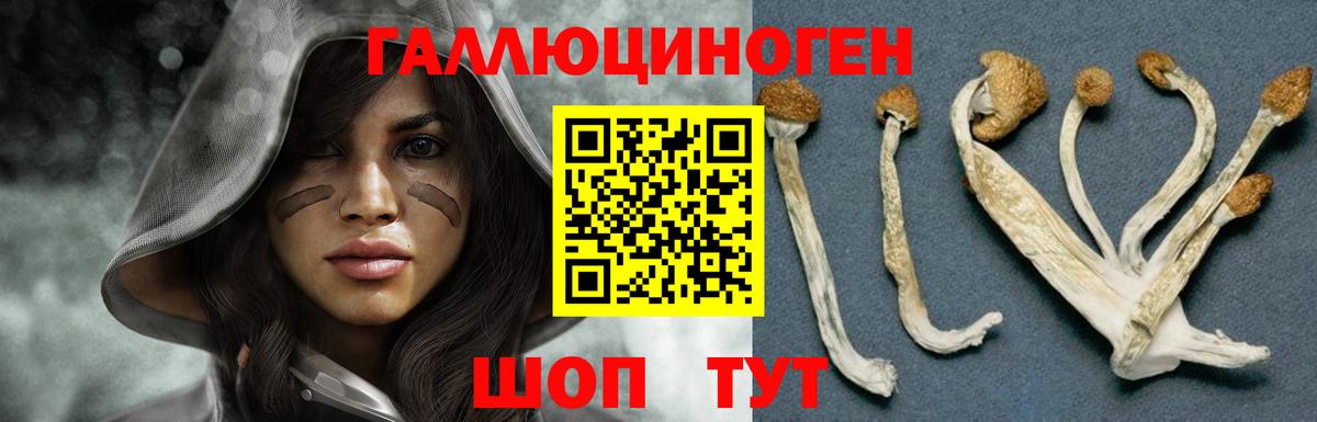 Коряжма  Галлюциногенные грибы Psilocybine cubensis  наркошоп  Вход с VPN 